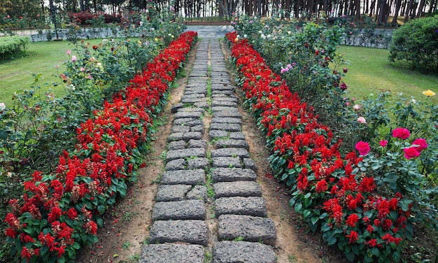 Pasarela de piedra en el parque.