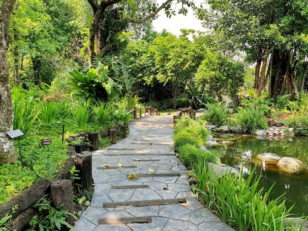 Pasarela y puente de madera en el jardín.