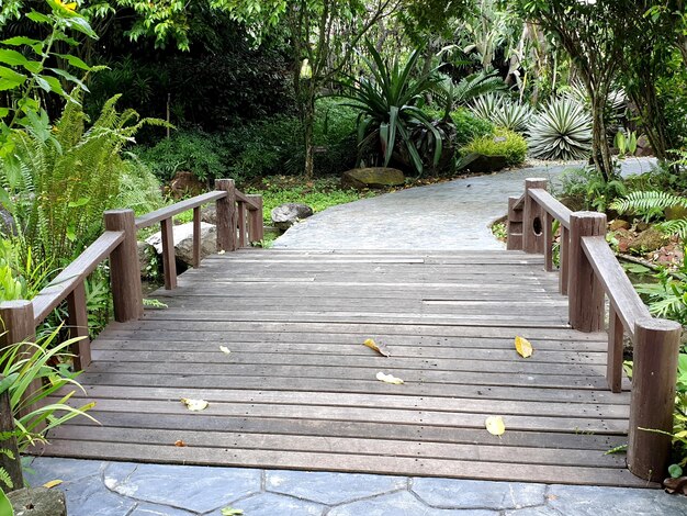 Pasarela y puente de madera en el jardín.