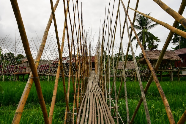 Pasarela puente de madera.