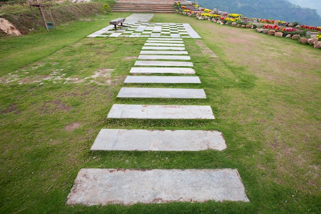 Pasarela sobre hierba verde