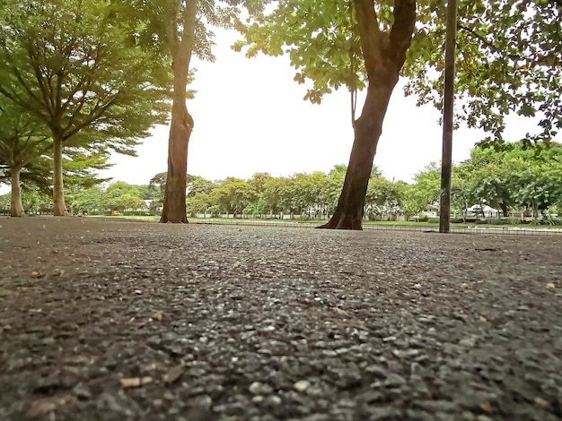 Foto pasarelas en parques públicos de tailandia