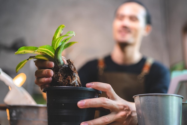 Pasatiempo de jardinería de plantas de la naturaleza, estilo de vida de persona hombre feliz con hoja verde de flores en crecimiento y trabajo agrícola en verano, concepto de medio ambiente en casa en hobby