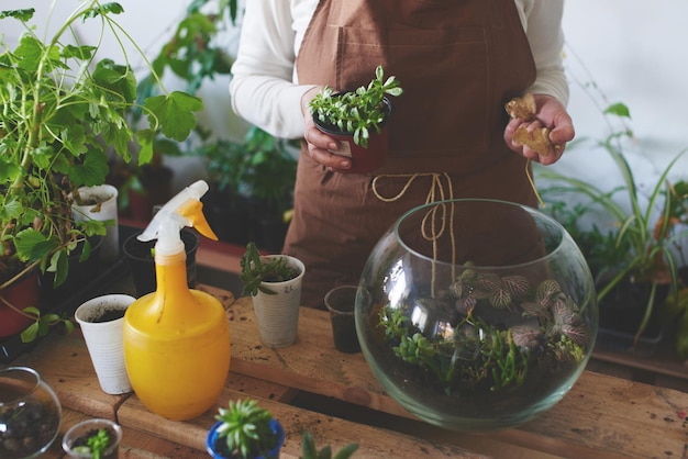 Pasatiempo de las mujeres. Floristería nerd chica hacer un mini terrario con plantas de interior