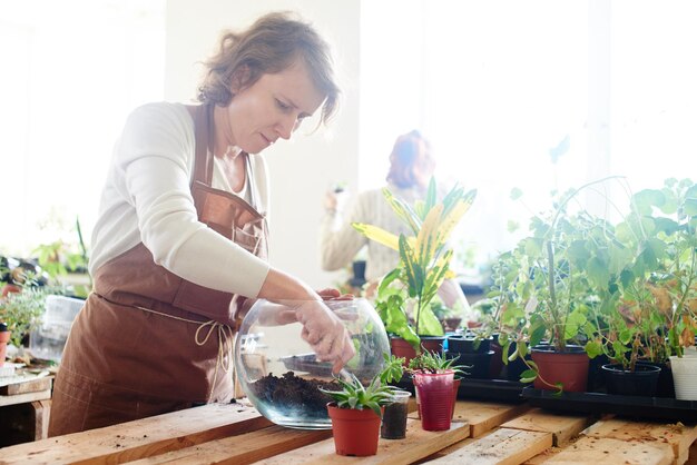 Pasatiempo de las mujeres. Madre e hija floristas de botánica se encargan de las plantas y flores de la casa