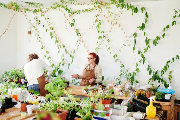 Pasatiempo de las mujeres. Madre e hija floristas de botánica se encargan de las plantas y flores de la casa