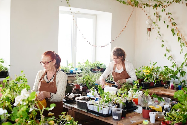 Pasatiempo de las mujeres. Madre e hija floristas de botánica se encargan de las plantas y flores de la casa