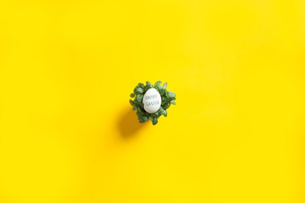 Foto páscoa bela plana deitar com um ovo no centro em planta verde em fundo amarelo