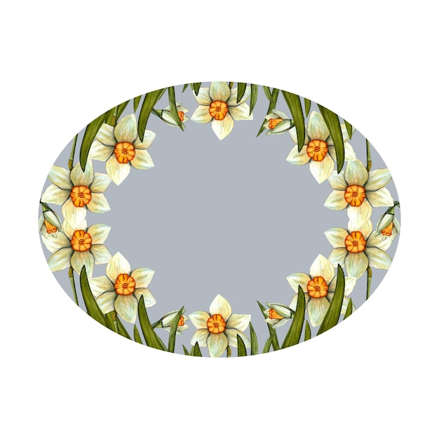 Páscoa de moldura em aquarela com ilustração floral de primavera de narciso isolada em fundo azul