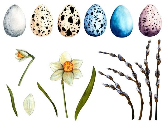 Pascua de arte acuarela con huevos de colores Ilustración dibujada a mano de primavera aislada sobre fondo blanco