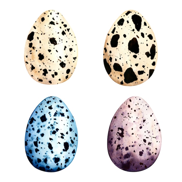 Pascua de arte acuarela con huevos de colores Ilustración dibujada a mano de primavera aislada sobre fondo blanco