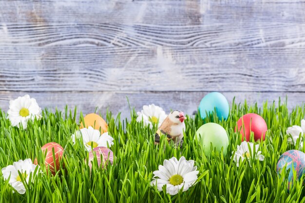 Pascua con huevos en pasto y flores.