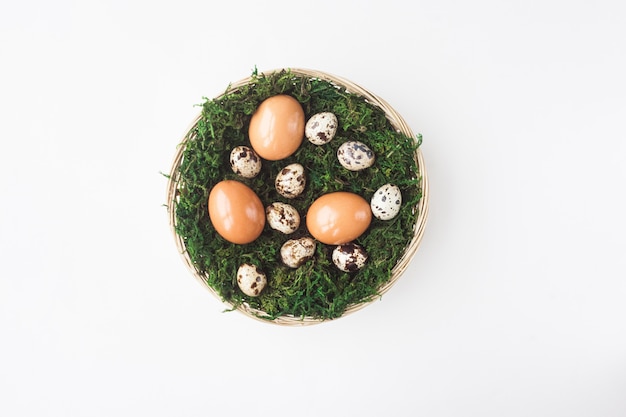 Pascua Huevos de pollo y huevos de codorniz se encuentran en una cesta con musgo sobre un fondo blanco, vista superior. Primavera abril.