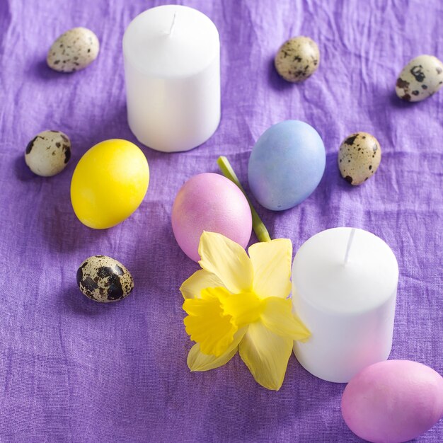 Pascua todavía vida, vela, pollo y huevos de codorniz, narciso, sobre un fondo violeta textil.