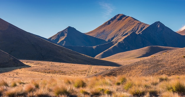 Foto pase de lindiss en otoño, isla sur, nueva zelanda entre omarama y cromwell con campo y