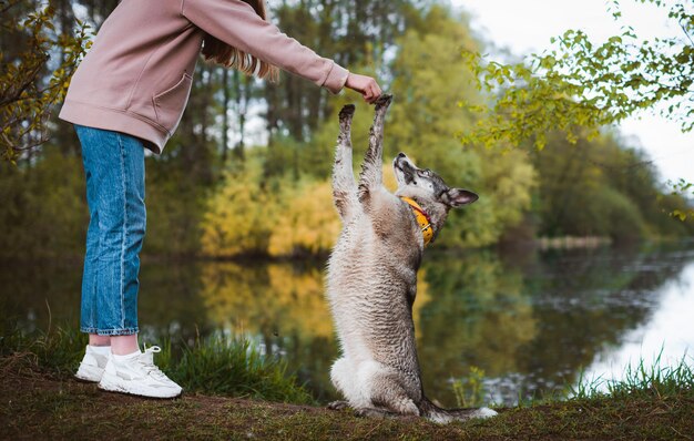 Paseadora de perros con una mascota caminando en la naturaleza junto al río