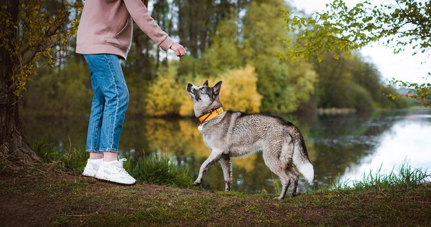 Paseadora de perros con una mascota caminando en la naturaleza junto al río