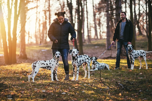 Paseadores de perros con perros dálmatas disfrutando en el parque.