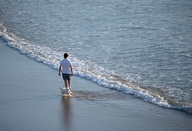 pasear al perro en la playa