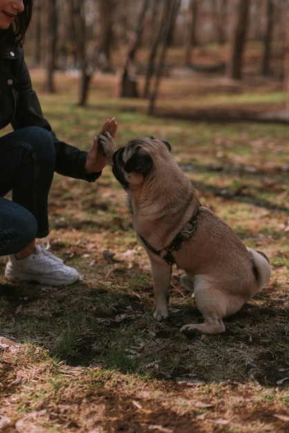 Foto pasear perros en el parque