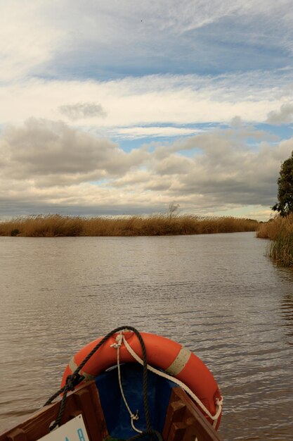 Un paseo en barco por las vías fluviales de la Albufera Valencia