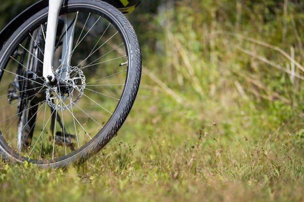 Paseo en bicicleta Bicicleta hierba y madera Aire libre espacio de texto