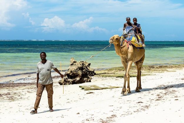 Paseo en camello por Diana Beach Mombasa Kenya