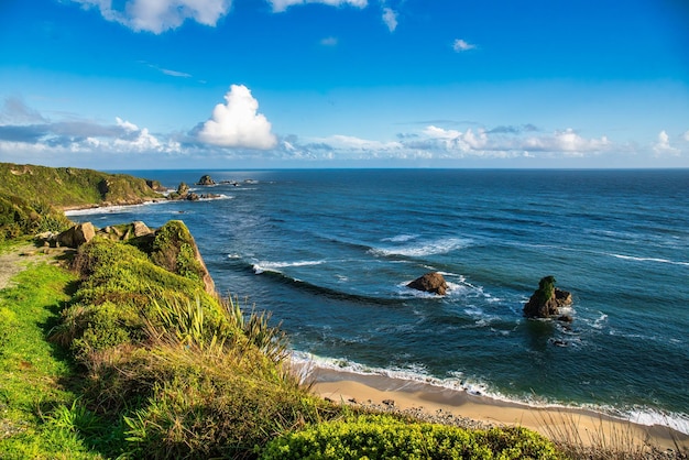 El paseo costero a lo largo de los acantilados en Cape Foulwind Westport