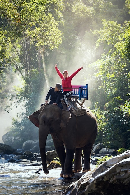 Paseo en elefante por la selva en el norte de Laos