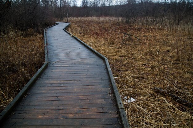 Foto paseo de invierno a través de los tranquilos humedales de michigan