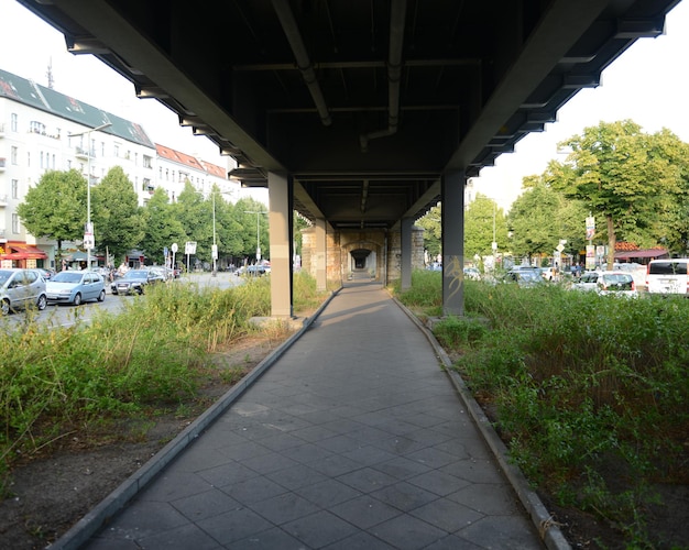 Paseo a lo largo de los árboles en la ciudad