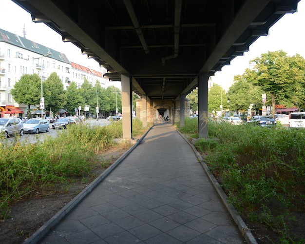 Paseo a lo largo de los árboles en la ciudad