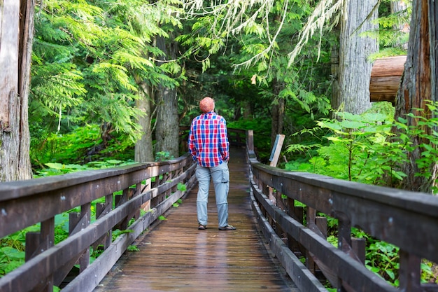 Paseo de madera en el bosque.