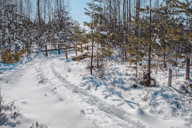 Paseo de madera cubierto de nieve y un puente que cruza un pequeño río en un bosque mixto Principios de la primavera