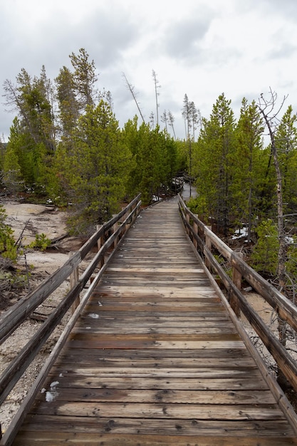 Paseo marítimo alrededor de aguas termales en el paisaje americano