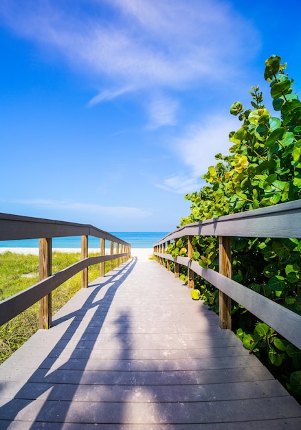 Paseo marítimo entre avena marina a la playa en Florida