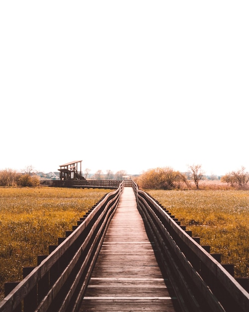 Paseo marítimo contra el cielo despejado