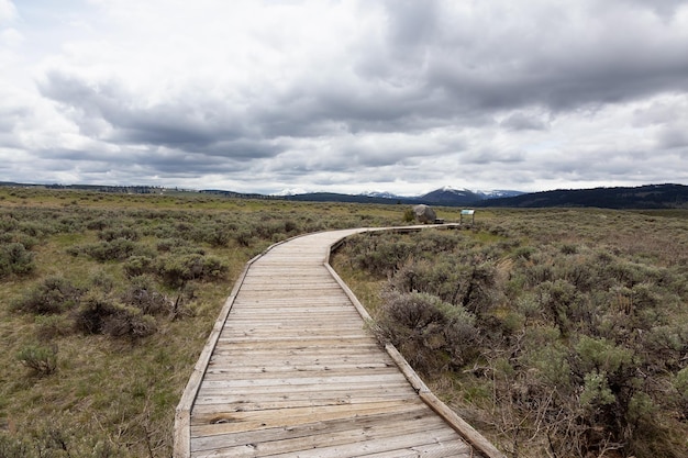 Paseo marítimo escénico en el parque nacional de yellowstone del paisaje americano