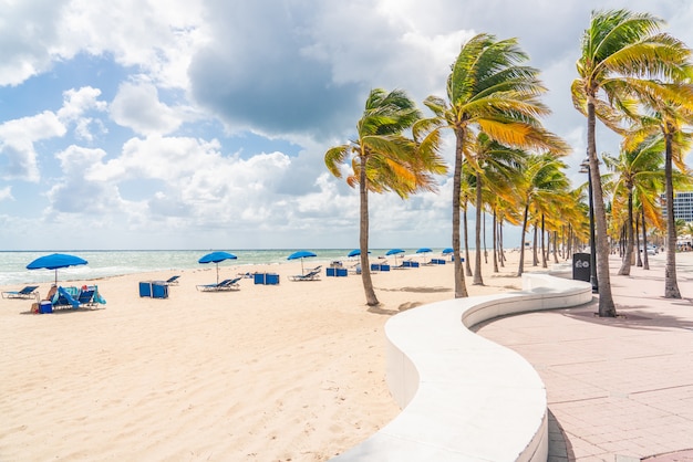 Paseo marítimo de Fort Lauderdale Beach con palmeras