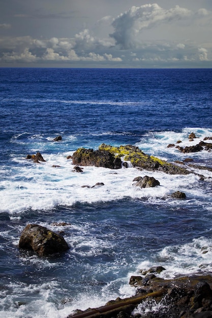 Foto paseo marítimo a lo largo del océano en puerto de la cruz