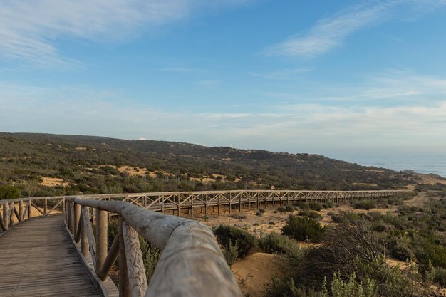 Un paseo marítimo de madera conduce a un paisaje de hierba con un cielo azul y algunas nubes.