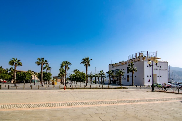 Paseo marítimo con palmeras en Cartagena Murcia