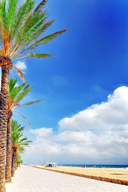 Paseo marítimo, playa, costa en España. Barrio de Barcelona, Cataluña