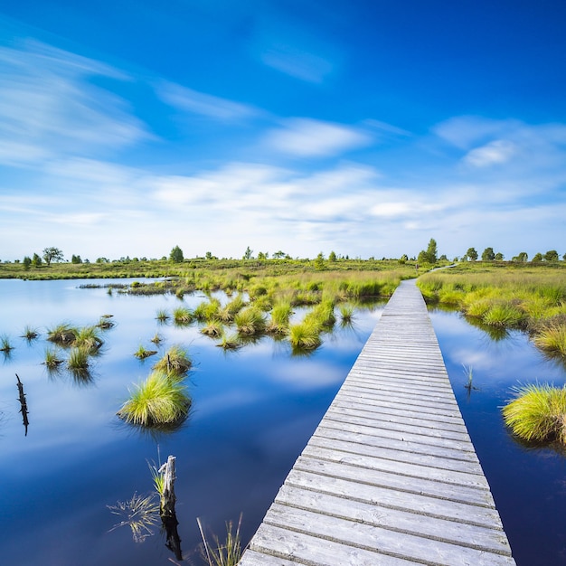 Foto paseo marítimo sobre un lago pantanoso con blue cloudy sky