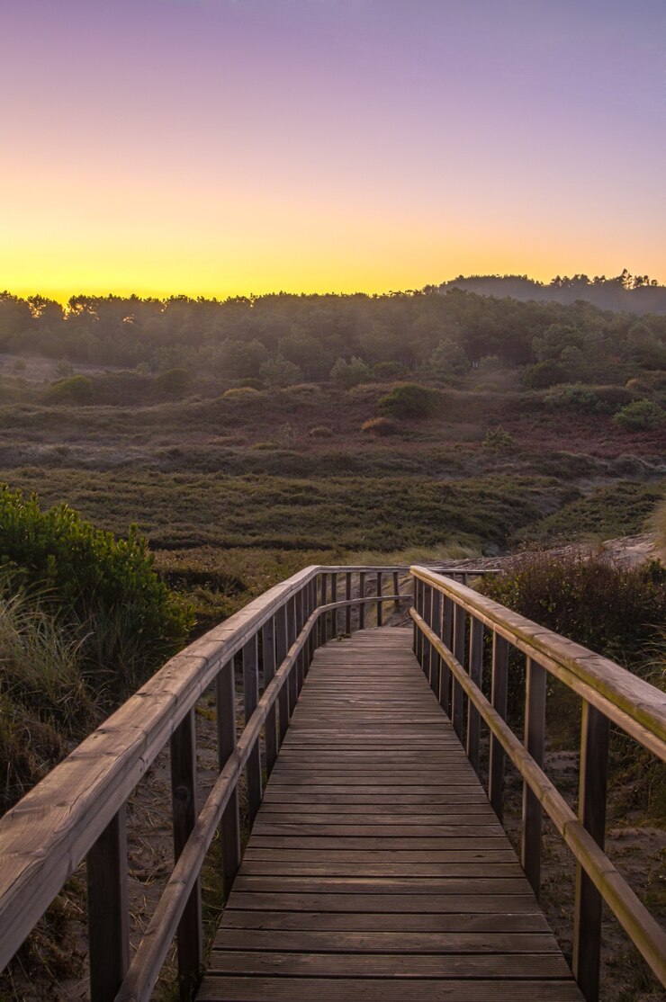 Paseo marítimo a través de las dunas al amanecer con montañas al fondo