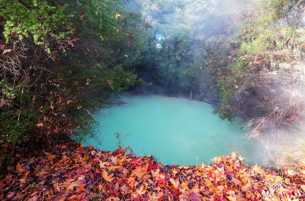 Paseo marítimo en la zona termal de Rotorua, Isla del Norte, Nueva Zelanda