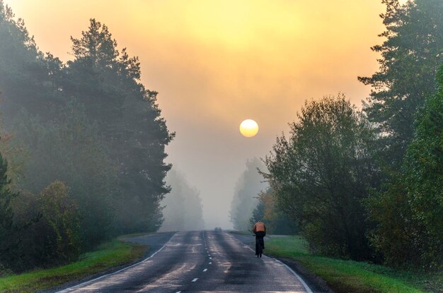 Paseo matutino de un ciclista hasta el amanecer Carretera asfaltada a través del bosque