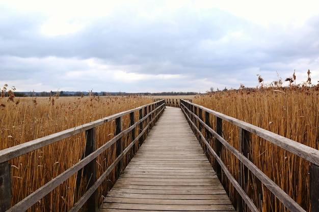 Paseo en medio de un campo contra un cielo nublado
