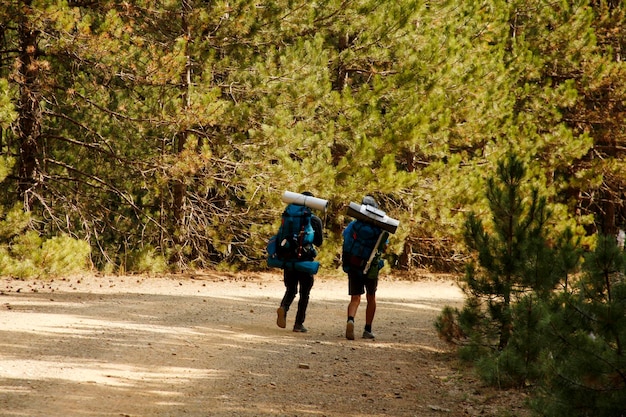 paseo por la naturaleza