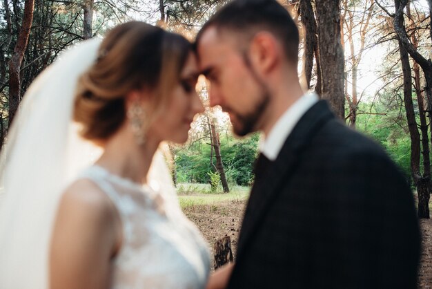 Paseo de los novios por el bosque otoñal en octubre